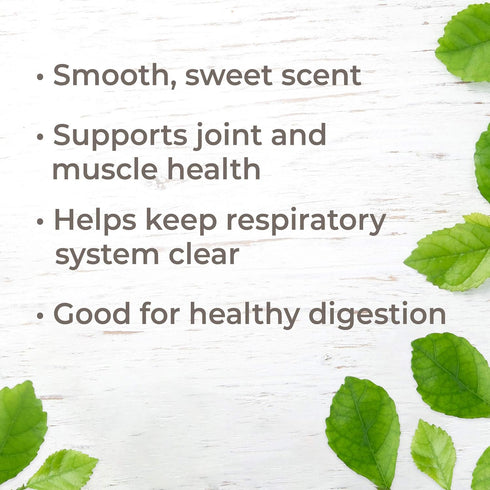 Plant Therapy Copaiba Oleoresin 10 mL (1/3 oz) 100% Pure, Undiluted, Therapeutic Grade