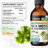 BIO KRAUTER Irish Sea Moss Drops - Vegan Immune Support Supplement with Bladderwrack, Alcohol & Sugar Free, 4 Fl.Oz.