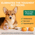 Carpet Freshener & Deodorizer Powder, Pet Odor Eliminator with Natural Sweet Orange Scent, 31oz