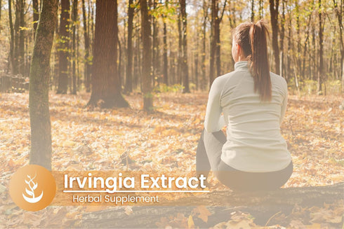PURE ORIGINAL INGREDIENTS Irvingia (100 Capsules) - Always Pure, Lab Verified, No Additives or Fillers