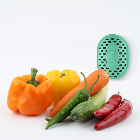 Refrigerator Deodorizer Eliminator, Nontoxic Coconut, Activated Charcoal, Natural Air Fresheners, Moisture & Odor