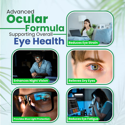 Vision Support Eye Vitamins for Macular Health, 60 Ct, Eye Care Supplements with Lutein, Zinc, Vitamin A & Bilberry