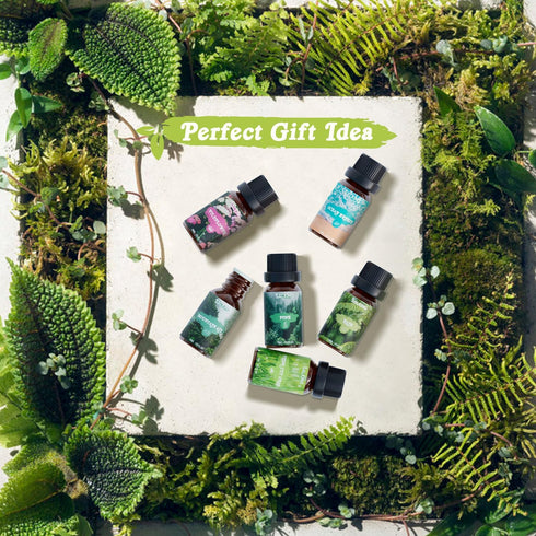 SALKING Nature Fragrance Oils, Premium Essential Oil for Diffuser, Gift Set for Soap Candle Making