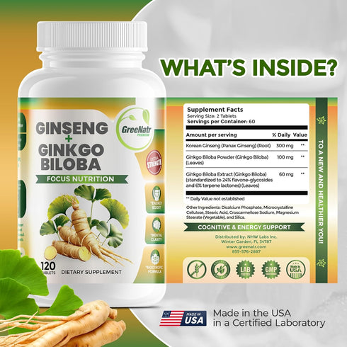 Ginko Biloba & Panax Ginseng Supplement - Red Ginseng Brain Supplement for Memory, Focus, and Good Vision - 120 Tablets