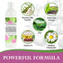 Organic Naturals Bamboo Silk Massage Lotion by Lotus Touch - 100% Pure Bamboo Silk Powder, Green Tea Extract & Aloe