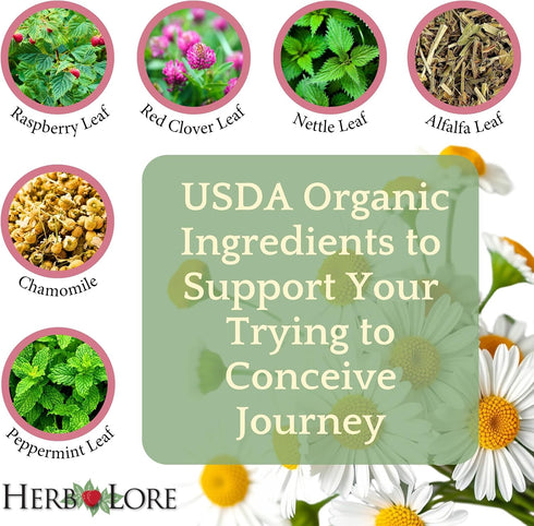 Herb Lore Organic Fertility Tincture - Alcohol-Free Liquid Support for Women