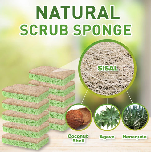 SCRUBIT Natural Sponges, 10 Pack Biodegradable Cellulose and Coconut Kitchen Sponges, Eco Friendly Non Toxic