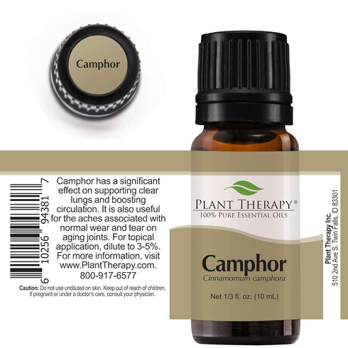 Plant Therapy White Camphor Essential Oil, 10 mL (1/3 oz), 100% Pure