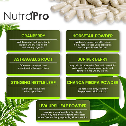 Health.60 NutraPro Kidney Cleanse Detox & Repair and Bladder Support- Kidney Support Supplement for Kidney Restore