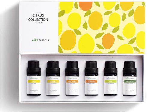 Citrus Essential Oil Set - Pack of 6, 10ml, Pure Therapeutic Grade