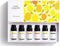 Citrus Essential Oil Set - Pack of 6, 10ml, Pure Therapeutic Grade