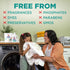 HAMMER 32 Count ARM & Deep Clean Free & Clear Laundry Detergent Power Paks, Free of Dyes and Perfumes, Dermatologist
