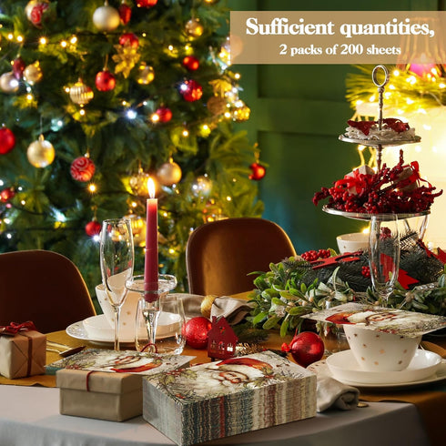 Zhanmai 200 2 Pcs Winter Napkins Paper Bulks Christmas Hand Paper Towels for Bathroom Home Ply Disposable Cocktail