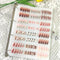 Large Press On Nail Organizer | 10 PCS Clear Empty Storage for Fake Nail Display and Nail Salon Supplies