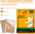 KONGDY Capsaicin Patches, 40 Counts, Max Strength Hot Capsicum Plaster Patch (7 * 10cm)