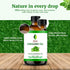 SVA Oregano Essential Oil – 4 Fl Oz – 100% Natural for Diffuser, Hair Care, Face, Skin Care, Aromatherapy