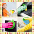 10 Pieces Fruit Dish Scrubber, Non Scratch Double Layered Kitchen Sponge, No Odor for Washing Dishes, Cookware, Tubs,