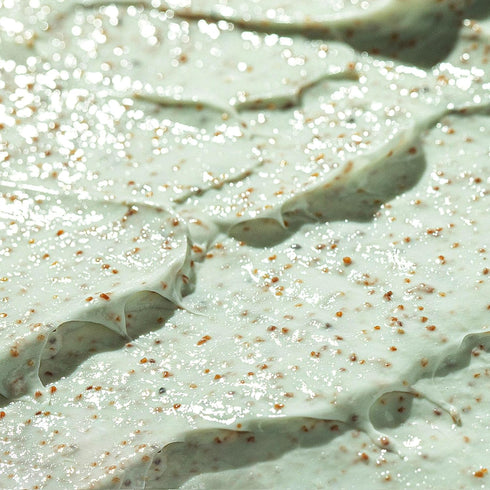 Shea Butter and Coconut Body Scrub - Exfoliating Scrub with Natural Ingredients for Smooth and Hydrated Skin - Paraben-Free, Cruelty-Free - 8.82oz