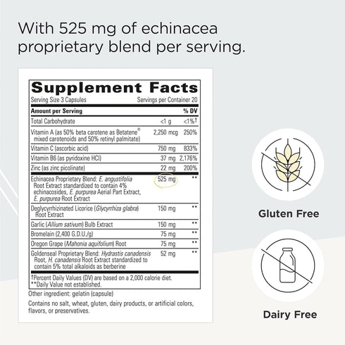EHB (Echinacosides, Hydrastine, Berberine) Integrative Therapeutics - Immune Supporting Nutrients, 60 Capsules