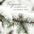 Thymes Frasier Fir Laundry Fragrance Oil for Dryer, Scented Laundry Supplies, 0.5 fl oz