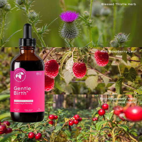 Mountain Meadow Herbs Gentle Birth - Fast Acting Liquid Herbal Extract for Birth Prep/Labor Support, 4oz