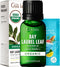 Gya Labs USDA Certified Organic Bay Leaf Essential Oil for Diffuser - 100% Pure Natural Aroma (0.34 Fl Oz)