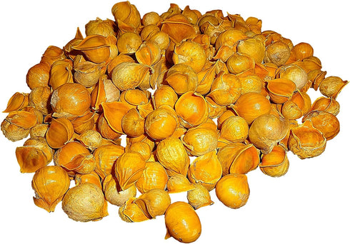 Morel Distribution Company (100% Count (30-60-130-150-250-400) Japanese Garlic//AJO Japones Natural!!) Choose Your per