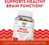 Nature's Way Kids Brain Supplement Gummies - 60 Gummies, Supports Healthy Brain Function, Lemonade Flavored