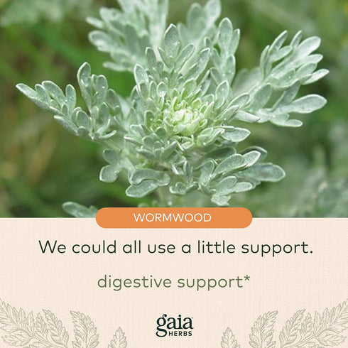 Gaia Herbs Wormwood Black Walnut Supreme, 1 fl oz (30 ml)