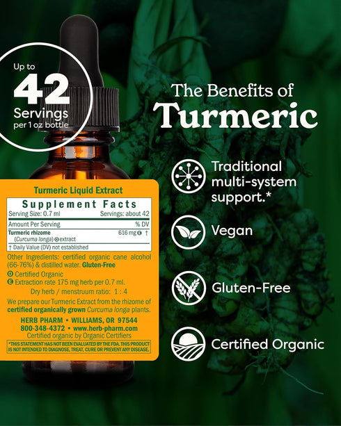 Herb Pharm Certified Organic Turmeric Root Extract, 1 Ounce, Musculoskeletal System Support