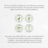 Horsetail Horsetail (Equisetum 4 OZ Secrets of the Tribe Tincture Alcohol-Free Extract, arvense) Dried Herb