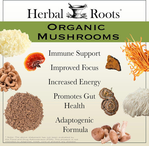 Herbal Roots Organic 8 Mushroom Blend Supplement Capsules - 100% Fruiting Body Extracts for Wellness and Immunity