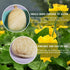 Natural Loofah Sponge Exfoliating Body Scrubber (3 Pack), Eco-Friendly Biodegradable Shower Luffa Sponge for Women and