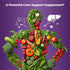 Quercetin with Bromelain - 18 in 1 Supplements with Zinc, Elderberry, Vitamin C & D, 1400 mg