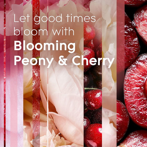 Glade Automatic Spray Refill, Air Freshener for Home, Blooming Peony & Cherry, 6.2 Oz