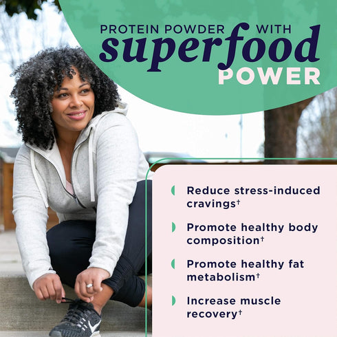 Ancient Nutrition Organic Plant Protein +, Vegan Protein Powder, Vanilla, 11.5 oz, Non-GMO, Gluten-Free