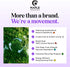 Lavender Essential Oil Roll On - Calming Aromatherapy Oil for Sleep, Headaches, Relaxation