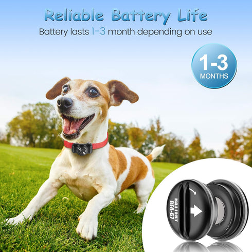 KGC RFA-67 6 Volt Replacement Dog Collar Batteries - Compatible with PetSafe RFA 67 Battery (10 Pack)