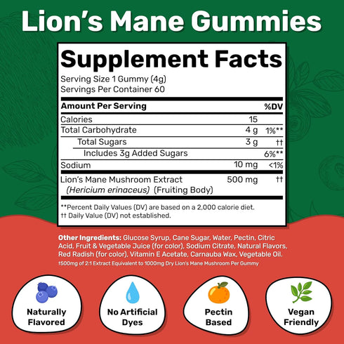 Lion's Mane Mushroom Gummies | Blueberry & Strawberry | 60 Servings | Mushroom Gummies for Adults for Brain Fog | Focus, Memory & Mood Mushroom Supplement Gummies