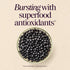 Immune Gummies Immune Gummy 2+*, 60 Gummies Natures Way Sambucus Kids Elderberry with Black Elderberry Extract, Daily