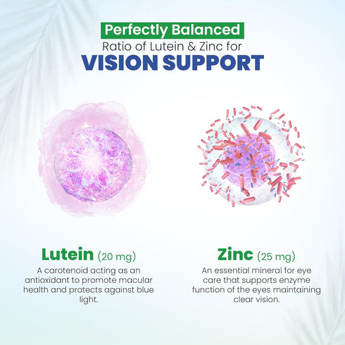 Vision Support Eye Vitamins for Macular Health, 60 Ct, Eye Care Supplements with Lutein, Zinc, Vitamin A & Bilberry