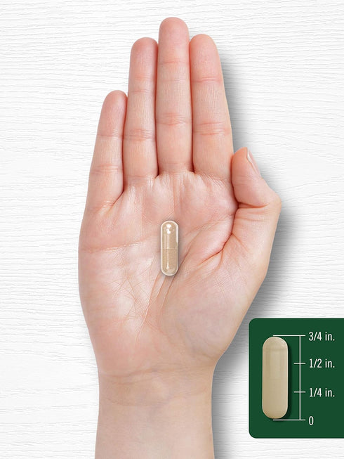 Carlyle Kudzu Root | 100 Extract Capsules | Non-GMO and Gluten Free Traditional Herbal Supplement