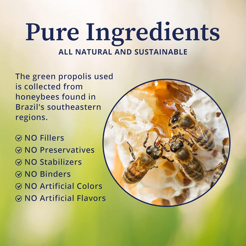 BioPure Brazilian Green Propolis Pure Propolis Extract – natural freeze-dried extract with Atrepillin-C and phenols for