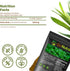 Gotu Kola 10:1 Extract Powder (8 oz) - Centella Asiatica, Gluten Free, Non-GMO Ayurvedic Herbal Supplement