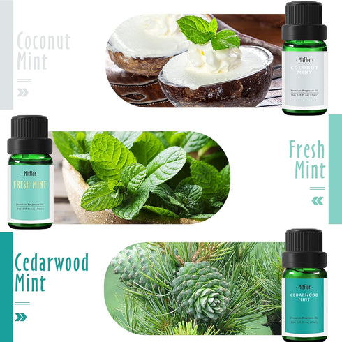 Set, Fragrance Oil, MitFlor Hotel and Mint Fragrance Oils Soap Candle Making Scents, Essential Oils for Diffusers