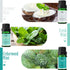 Set, Fragrance Oil, MitFlor Hotel and Mint Fragrance Oils Soap Candle Making Scents, Essential Oils for Diffusers