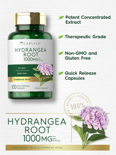 Carlyle Hydrangea Root Capsules | 1,000mg | 100 Count | Non-GMO, Gluten Free Extract