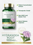 Carlyle Hydrangea Root Capsules | 1,000mg | 100 Count | Non-GMO, Gluten Free Extract