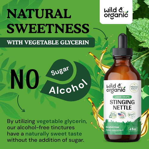 Stinging Nettle Root Tincture - Alcohol-Free Urinary Tract Support w/Organic Stinging Nettle - 4 oz