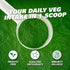 EHP Labs OxyGreens Super Greens Powder - Spirulina & Chlorella Superfood, 30 Serves (Pineapple)